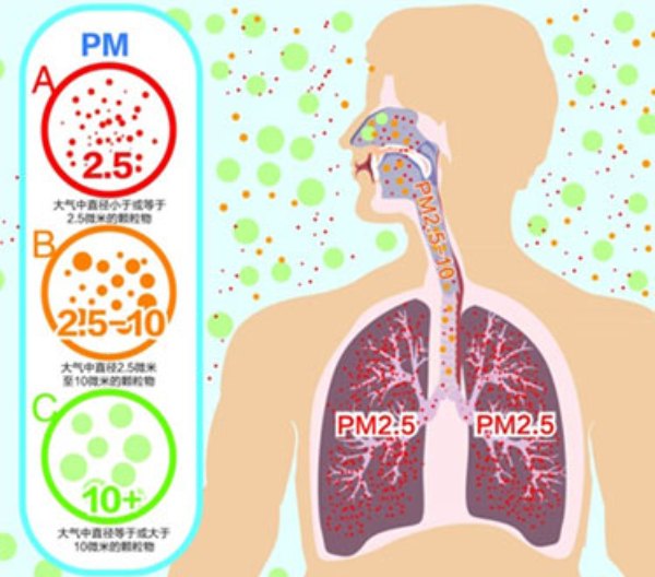 奇百科：PM2.5