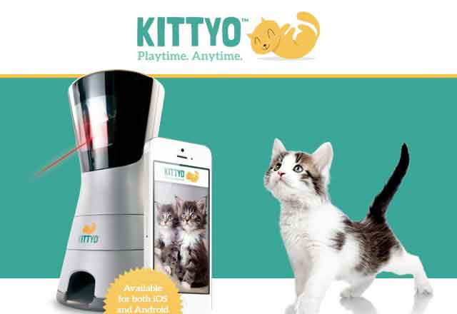 Kittyo支持远程看护宠物，还能逗喵星人