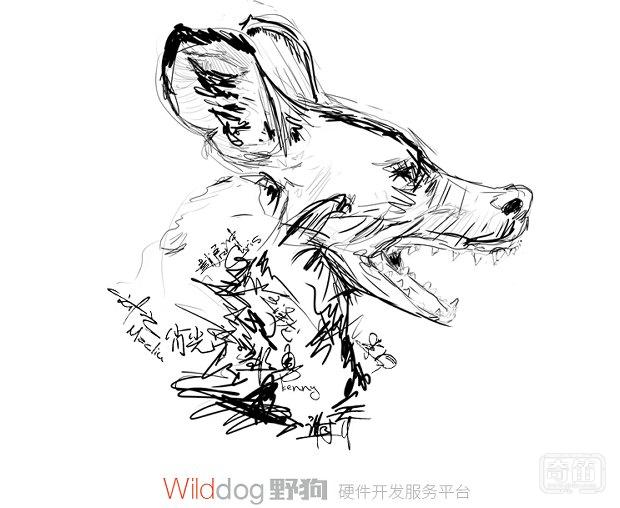 自黑的团队——“野狗”，专注智能硬件云服务和wifi模块领域